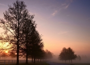 雷火电竞app-东方试炼，文班亚马在杭州的唯一天赋觉醒夜