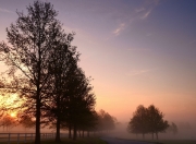 雷火电竞app-东方试炼，文班亚马在杭州的唯一天赋觉醒夜