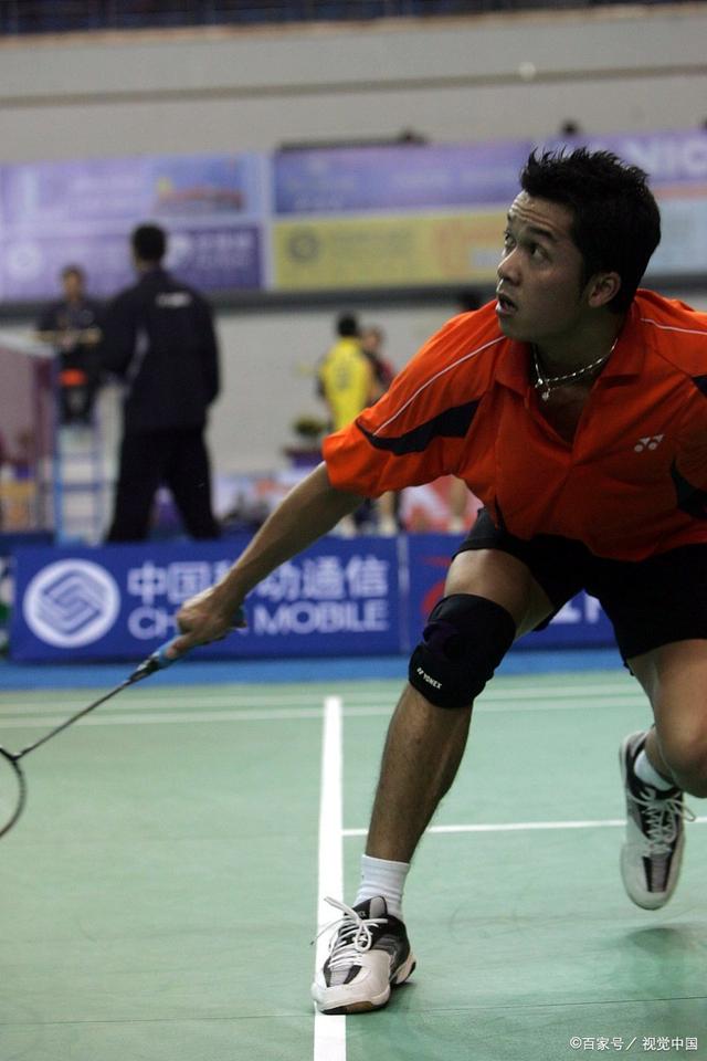 法国羽毛球队绝杀中国羽毛球队，陶菲克送出助攻的简单介绍