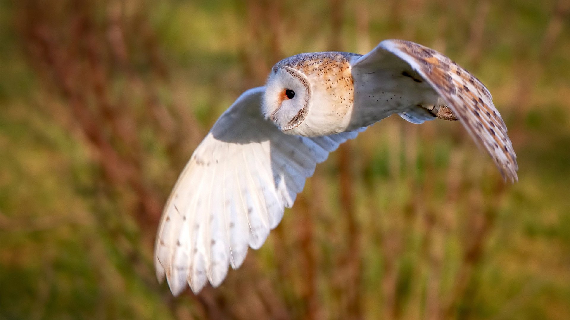 封锁与奔涌，当马赛的铁壁遇见国家德比的怒涛—两个无关的瞬间，同一个足球的本质