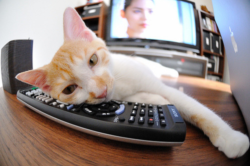 弗拉霍维奇神奇绝杀!利物浦压哨力克塞内加尔,关键先生改写比赛命运